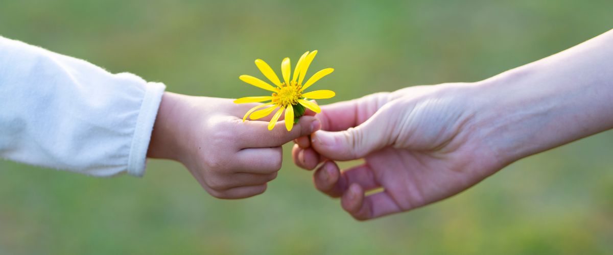 Auto-évaluation des structure sociale de protection de l'enfance